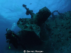 Diver next to the port side prop of the Salem Express. Ta... by Garnet Hooper 
